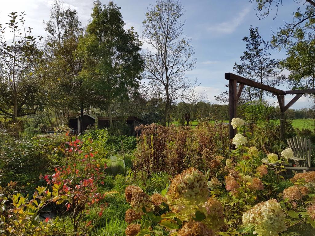 Bij En Boom Bed & Breakfast Drachten Exterior foto