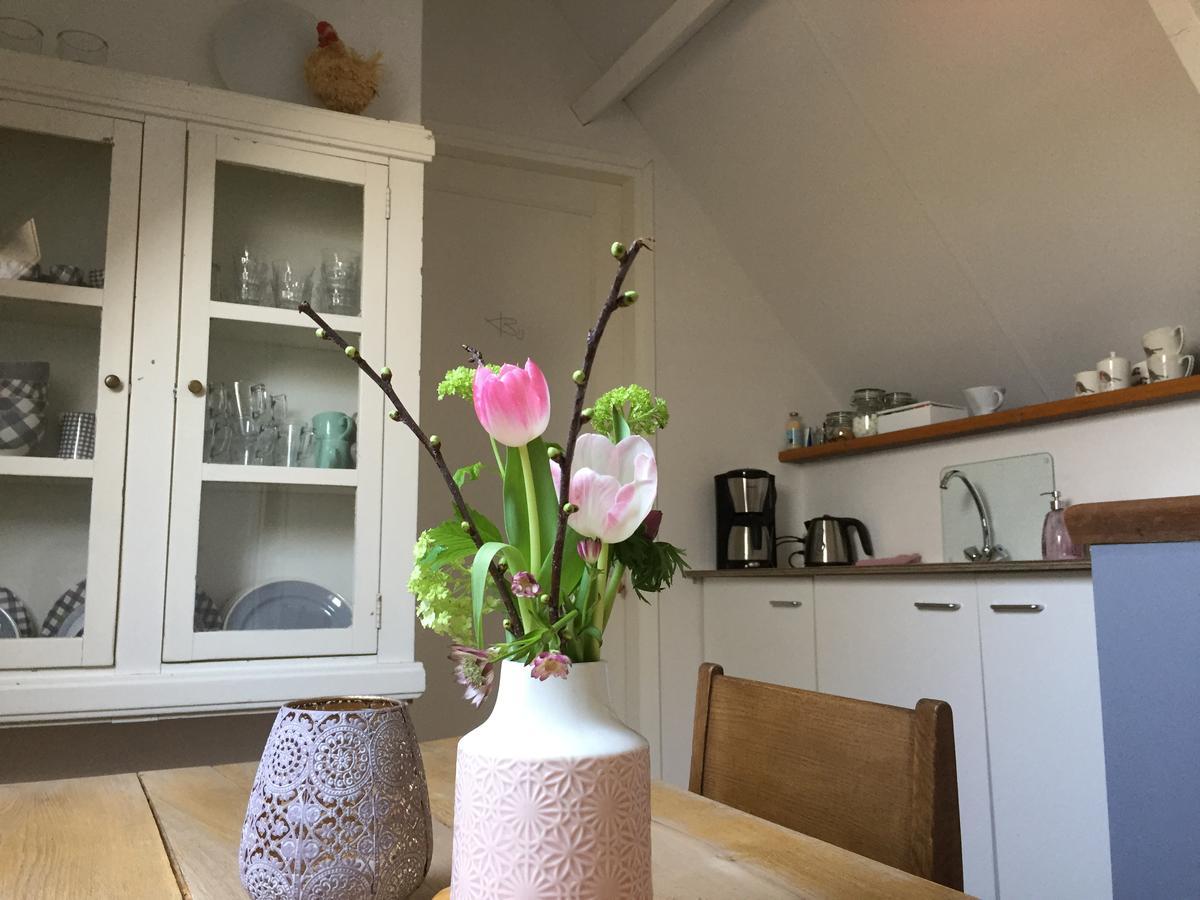 Bij En Boom Bed & Breakfast Drachten Exterior foto